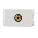 [WP33] Module - RCA (Y) Screw Type